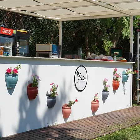 Royal מלון דטקה